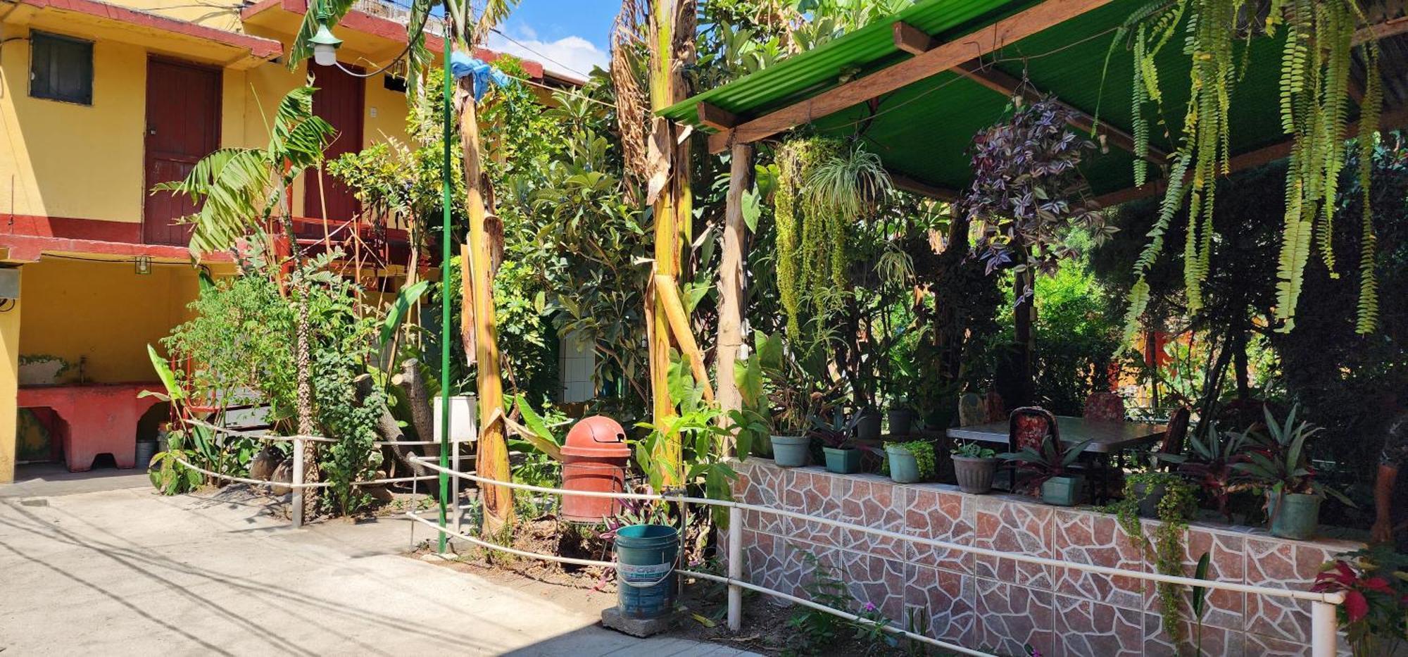 Hospedaje Santo Domingo Panajachel Εξωτερικό φωτογραφία