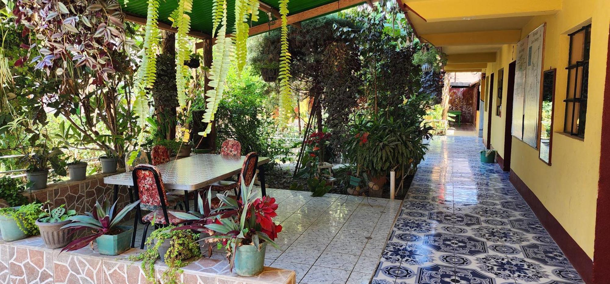 Hospedaje Santo Domingo Panajachel Εξωτερικό φωτογραφία